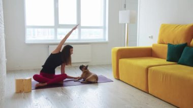 Sıska bir kadın oturma odasında yoga minderi üzerinde ısınıyor ve evcil köpeği yanında oturuyor. Orta çekim