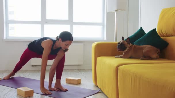 Тонка Жінка Робить Вправи Жовтому Дивані Своїй Вітальні Мила Собака — стокове відео