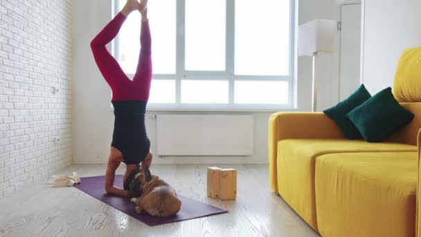 Una Mujer Flaca Hace Una Cabecera Una Esterilla Yoga Divide — Vídeo de stock