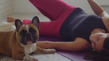 Sıska bir kadın yoga minderinde yatar - yan tarafa döner ve evcil köpeğini okşar. Orta çekim