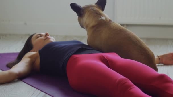 Sıska Bir Kadın Yoga Minderine Uzanıp Evcil Köpeğini Okşar Orta — Stok video