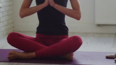 Sportif sıska kadın evcil köpeğinin yanında egzersiz yapıyor. Orta çekim