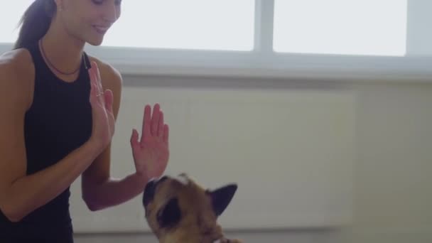 Женщина Играющая Своей Дрессированной Собакой Замедленной Съемке Средний Выстрел — стоковое видео