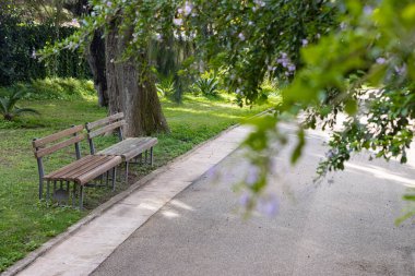 Boş yürüyüş yolunun yanındaki yeşil parktaki banklar. Orta çekim