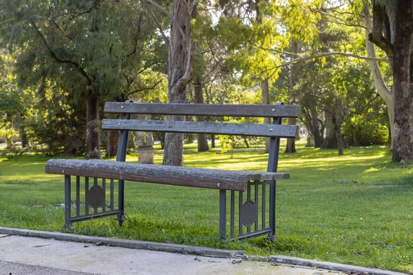 Egy Üres Pad Egy Zöld Parkban Sétaúton Középső Felvétel — Stock Fotó