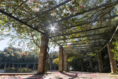 Güneş, göletin etrafındaki çadırın çatısından yükselir. Orta çekim