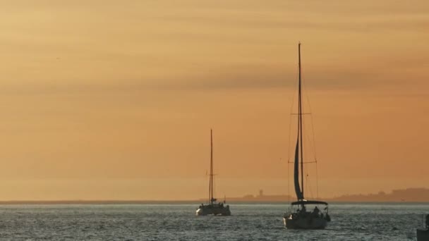 Barcos Vela Navegam Pelo Rio Durante Pôr Sol Meio Tiro — Vídeo de Stock