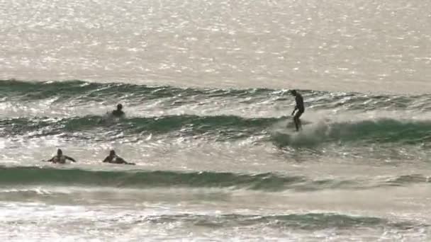 People Surfing Early Evening Mid Shot — Stok video
