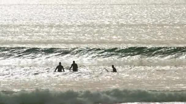 People Surfboards Swim Ocean Early Evening Mid Shot — Stockvideo
