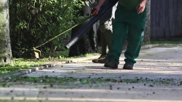 Workers Take Care Reserve Cut Grass Blow Away Remains Greenery — Vídeo de Stock