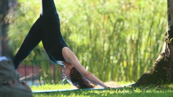 Woman Doing Yoga Park Downward Dog Pose Mid Shot — Vídeos de Stock