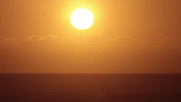 Bright Sun Sets Sea Orange Sunset Mid Shot — Stockvideo