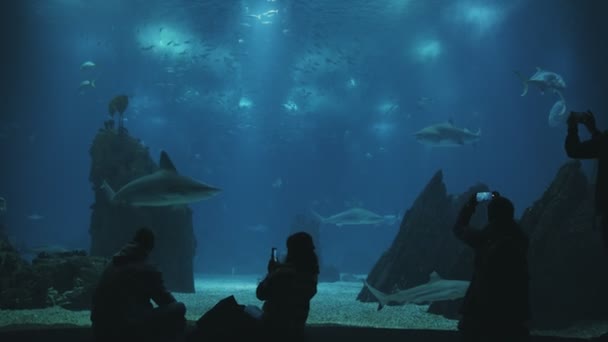 Black Silhouettes Visitors Aquarium Stand Front Glass Shoot Fish Phones — Vídeo de Stock