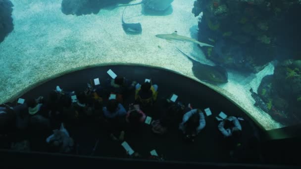 Portugal Lisbon December 2022 Groep Kinderen Zit Voor Aquariumglas Oceanarium — Stockvideo