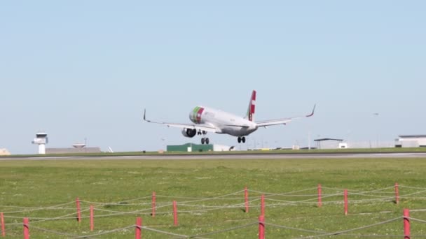 December 2022 Portugal Lisbon Airportugal Airplane Landing Runway Mid Shot — Wideo stockowe