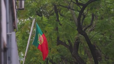 The flag of Portugal flutters in the wind. Mid shot
