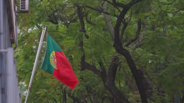 Σημαία Της Πορτογαλίας Κυματίζει Στον Άνεμο Στο Φόντο Των Δέντρων — Αρχείο Βίντεο