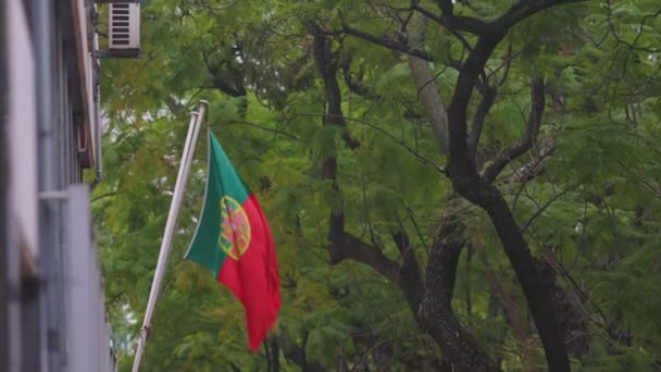 Σημαία Της Πορτογαλίας Κυματίζει Στον Άνεμο Μεσαίο Πλάνο — Αρχείο Βίντεο