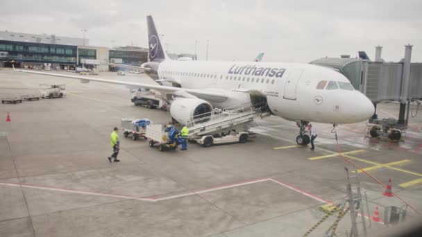 2023德国法兰克福 在起飞前 工人们对汉莎航空公司的飞机进行维护和准备 — 图库视频影像