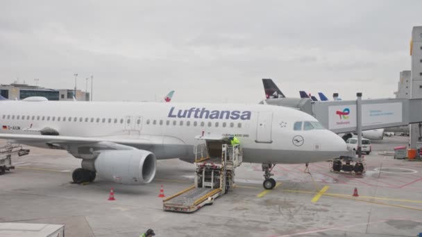 2023 Франкфурт Німеччина Літак Lufthansa Польовому Вантажному Багажі Всередині Літака — стокове відео