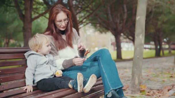Woman Her Little Son Sitting Bench Park Looking Autumn Leaf — Vídeo de Stock