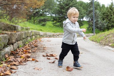 A little blonde boy in the autumn park. Mid shot