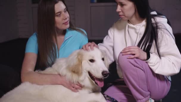 Two Smiling Young Women Petting Cute White Retriever Dog Mid — стоковое видео