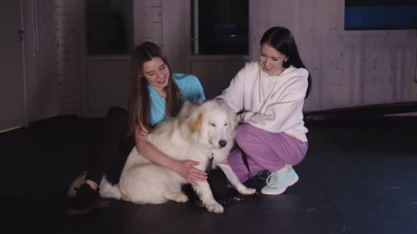 Two Smiling Young Women Petting Cute Golden Retriever Mid Shot — стоковое видео