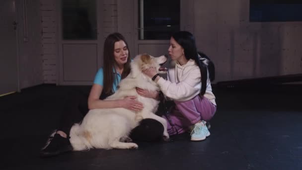Two Happy Young Women Petting Cute Golden Retriever Mid Shot — стоковое видео
