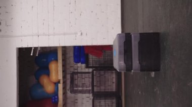 Kahverengi bir Alman köpeğini eğitirken köpek koşar ve bariyeri aşar. Dikey çekim