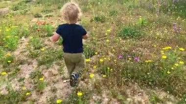 Küçük sarışın bir çocuk tarlada koşuyor ve çiçeğe bakmak için oturuyor. Orta çekim