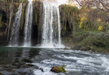 Şelale ormandaki küçük bir gölete düşüyor. Orta çekim