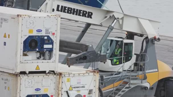 Лютого 2023 Лісабон Португалія Forklift Спрямована Контейнерно Портові Контейнери Термінальні — стокове відео