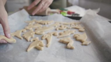 Kurabiye pişirmek. Kadın, dinozor şeklinde çiğ hamuru pişirme kağıdının üzerine serer. Orta çekim