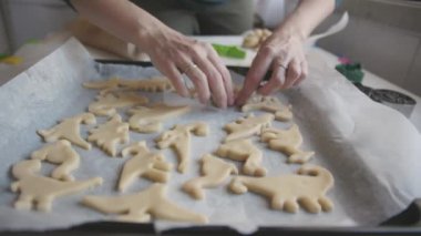 Kadın elleri hamuru dinozor şeklinde bir tepsiye seriyor. Orta çekim