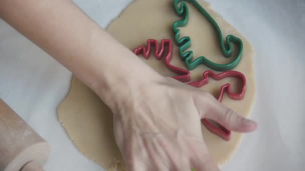 Cuisine Familiale Une Femme Pousse Les Moules Dinosaures Dans Pâte — Video