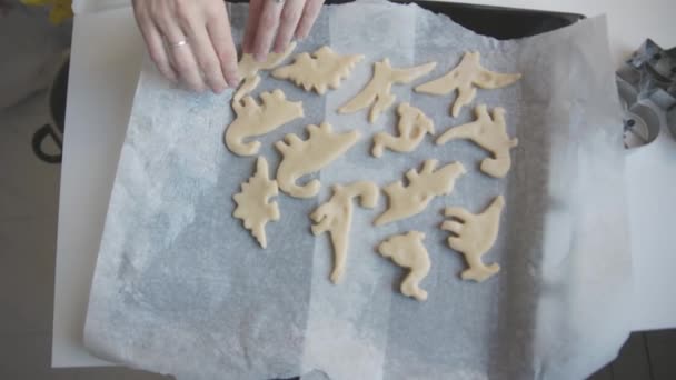 Cozinhar Família Massa Crua Forma Dinossauros Papel Manteiga Meio Tiro — Vídeo de Stock