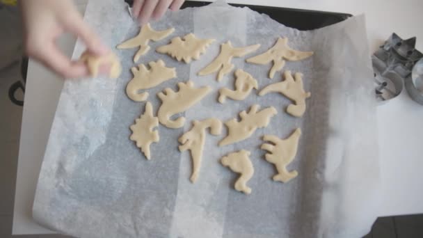 烤饼干 在烤纸上烤成恐龙形状的生面团 — 图库视频影像
