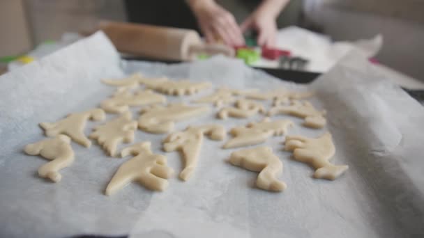 在烤纸上用恐龙形状的生面团 — 图库视频影像