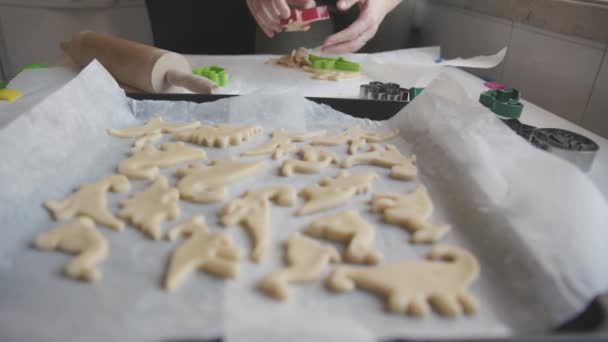 Печиво Випічки Жіночі Руки Викладають Тісто Формі Динозаврів Листі Випічки — стокове відео