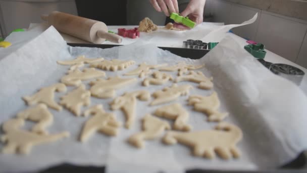 女性的手把面团放在烤盘上做成恐龙的形状 — 图库视频影像