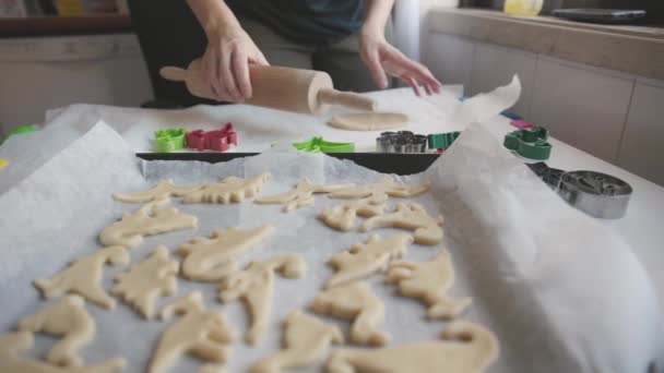 Φτιάχνω Μπισκότα Σχήμα Δεινοσαύρων Μεσαίο Πλάνο — Αρχείο Βίντεο