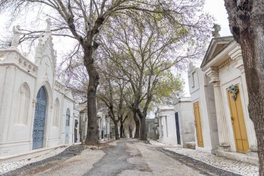 22 Şubat 2023 Lizbon, Portekiz: Alto de Sao Joao Mezarlığı - mezarlıkta aile mezarlarının yanında ağaçlar yetişir. Orta çekim