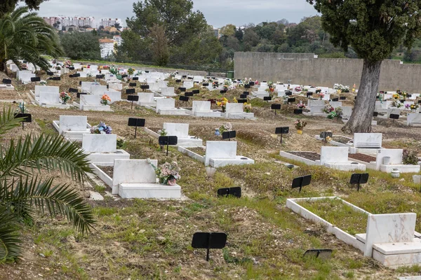 Fevereiro 2023 Lisboa Portugal Cemitério Alto São João Sepulturas Térreas — Fotografia de Stock