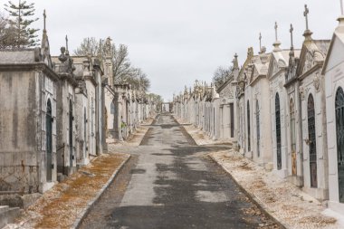 22 Şubat 2023 Lizbon, Portekiz: Alto de Sao Joao Mezarlığı - aile mezarlıklarıyla çevrili bir yol. Orta çekim