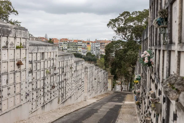 Fevereiro 2023 Lisboa Portugal Cemitério Alto São João Caminho Que — Fotografia de Stock