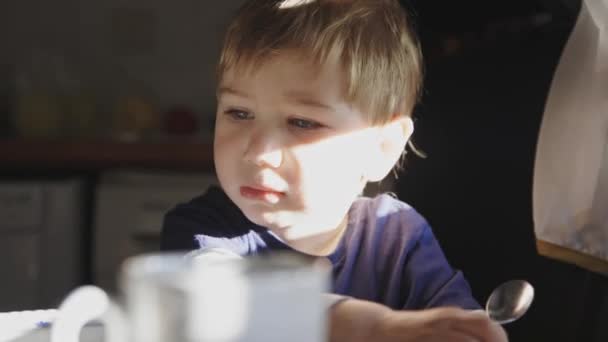 午前中は台所で小さな男の子と彼の母親 ミッドショット — ストック動画