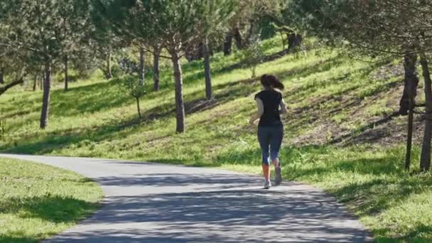 Parkta Koşan Yetişkin Bir Sporcu Kadın Orta Çekim — Stok video