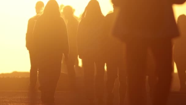 Vor Dem Hintergrund Einer Strahlenden Untergehenden Sonne Laufen Die Silhouetten — Stockvideo