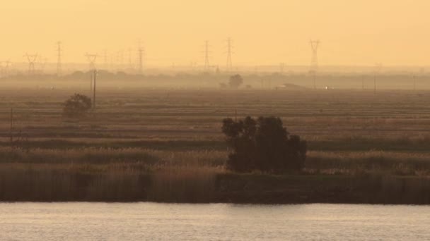 自然景观 在河边耕田 远处的电塔 — 图库视频影像
